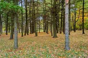 10876 Mechanicsburg-Catawba Rd, Mechanicsburg, OH 43044 - Photo 13