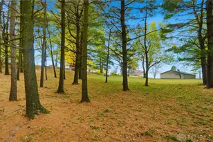 10876 Mechanicsburg-Catawba Rd, Mechanicsburg, OH 43044 - Photo 15