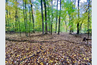 87 Ac Moore Road, Tate Township, OH 45106 - Photo 9