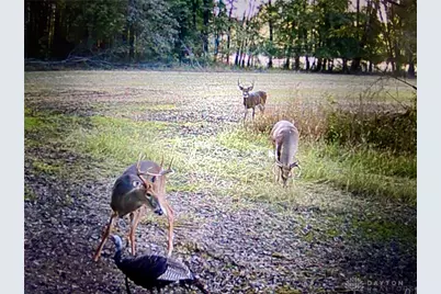 87 Ac Moore Road, Tate Township, OH 45106 - Photo 15