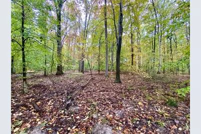 87 Ac Moore Road, Tate Township, OH 45106 - Photo 7