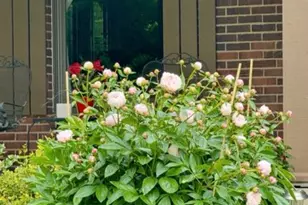 2750 Brantwood Ct, Butler Twp, OH 45414 - Photo 53