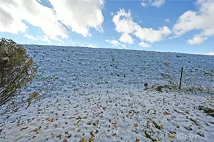 309 Cleveland St, Piqua, OH 45356 - Photo 39