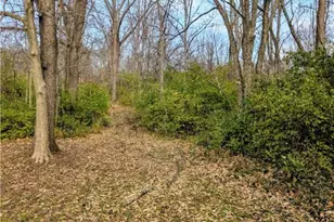 2566 E Lower Springboro Rd, Waynesville, OH 45068 - Photo 87