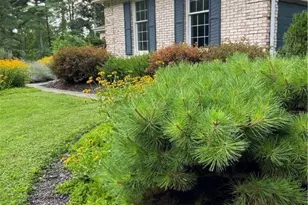 2763 Ferry Rd, Bellbrook, OH 45305 - Photo 53