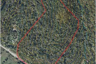 60 Ac US Rt 52, Manchester, OH 45144 - Photo 1