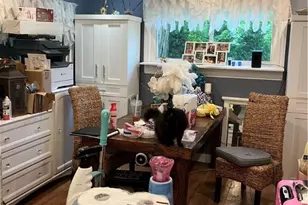 8584 Lytle Ferry Rd, Waynesville, OH 45068 - Photo 7