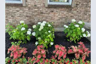 9820 Arlis Lane, Miamisburg, OH 45342 - Photo 45