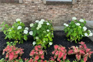 9820 Arlis Ln, Miamisburg, OH 45342 - Photo 45