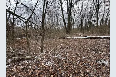 0 Morrow-Woodville Road, Pleasant Plain, OH 45162 - Photo 7