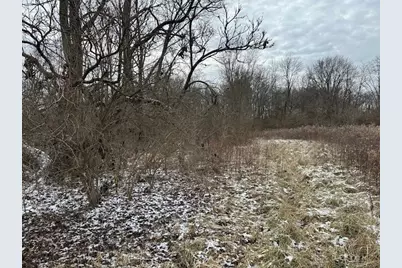 0 Morrow-Woodville Road, Pleasant Plain, OH 45162 - Photo 3