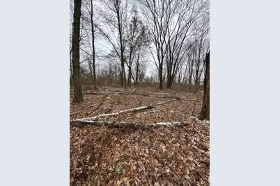 0 Morrow-Woodville Road, Pleasant Plain, OH 45162 - Photo 11