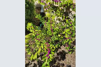 2461 Whisper Drive, Miamisburg, OH 45342 - Photo 71