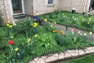 965 Bakersfield Ct, Miamisburg, OH 45342 - Photo 3