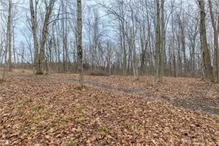 10671 Green Apple Rd, Miamisburg, OH 45342 - Photo 23