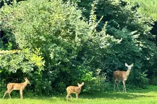 1300 E Ginghamsburg Rd, Tipp City, OH 45371 - Photo 75