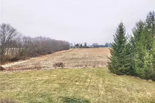 2680 Cedarville Yellow Spri Rd, Cedarville Village, OH 45314 - Photo 9