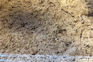 1460 S River Rd, Green Twp, OH 45387 - Photo 19