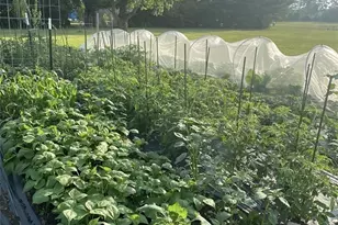 4761 Cornerstone Trail, Yellow Springs Vlg, OH 45387 - Photo 43