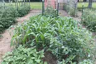 4761 Cornerstone Trail, Yellow Springs Vlg, OH 45387 - Photo 45