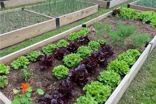 4761 Cornerstone Trail, Yellow Springs Vlg, OH 45387 - Photo 41