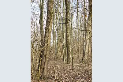 414 W Sparrow Road, Springfield, OH 45502 - Photo 17