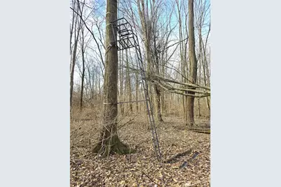 414 W Sparrow Road, Springfield, OH 45502 - Photo 15