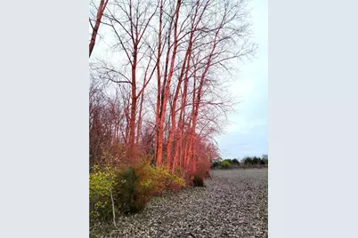 414 W Sparrow Road, Springfield, OH 45502 - Photo 7