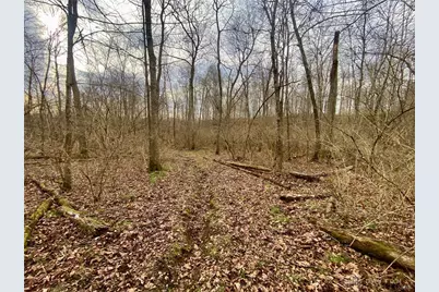 56 Sabina Road, Leesburg, OH 45135 - Photo 11