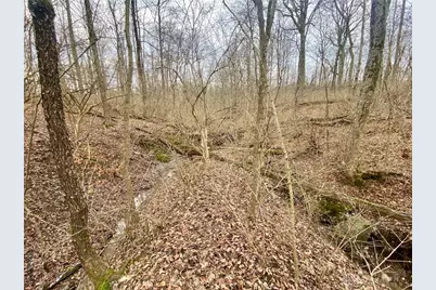 56 Sabina Road, Leesburg, OH 45135 - Photo 9