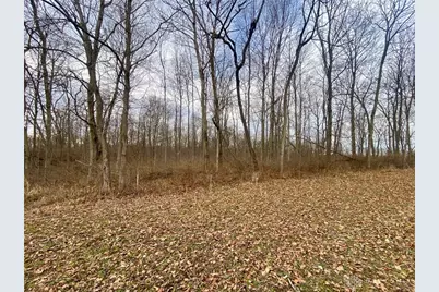 56 Sabina Road, Leesburg, OH 45135 - Photo 7