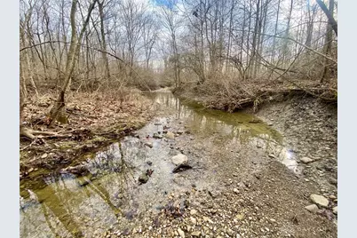 56 Sabina Road, Leesburg, OH 45135 - Photo 15