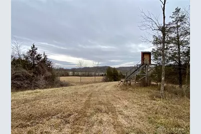 39 Ac Buckley Road, Hillsboro, OH 45133 - Photo 7