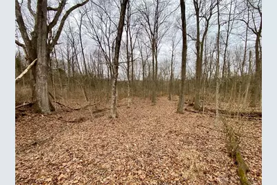 39 Ac Buckley Road, Hillsboro, OH 45133 - Photo 21