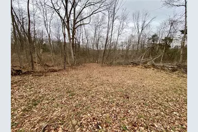 39 Ac Buckley Road, Hillsboro, OH 45133 - Photo 19