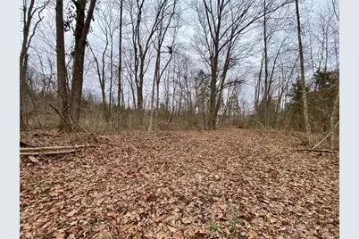 39 Ac Buckley Road, Hillsboro, OH 45133 - Photo 23