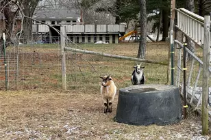 4957 Utica Rd, Waynesville, OH 45068 - Photo 49