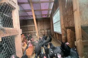 4957 Utica Rd, Waynesville, OH 45068 - Photo 73