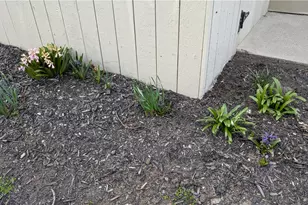 7809 Capitol Hill Ln, Dayton, OH 45459 - Photo 39