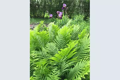 4048 Locustwood Drive, Dayton, OH 45429 - Photo 57