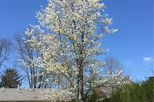 4048 Locustwood Dr, Dayton, OH 45429 - Photo 55