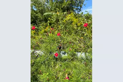 12223 Jason Drive, Medway, OH 45341 - Photo 35