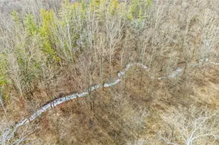 10999 Morrison-Mikesell Rd, New Paris, OH 45347 - Photo 9