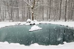 1229 Eaton Fort Nesbit Rd, New Paris, OH 45347 - Photo 47