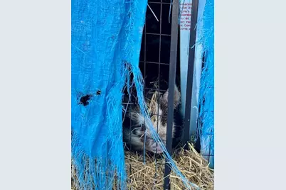 1033 Gerhard Street, Dayton, OH 45404 - Photo 67