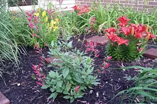 1117 Scenic Ct, Troy, OH 45373 - Photo 43