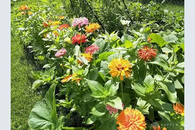 1117 Scenic Court, Troy, OH 45373 - Photo 49