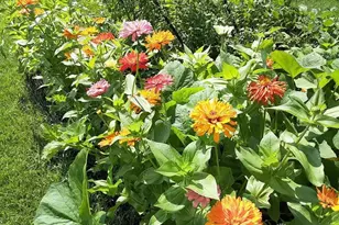 1117 Scenic Ct, Troy, OH 45373 - Photo 49