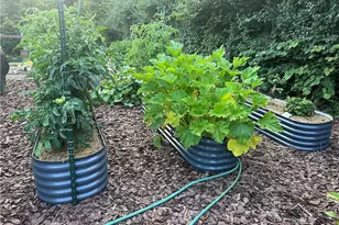 5217 Keener Rd, Brookville, OH 45309 - Photo 41