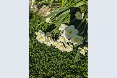 6042 Ansbury Drive, Dayton, OH 45424 - Photo 29